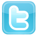 twitter logo